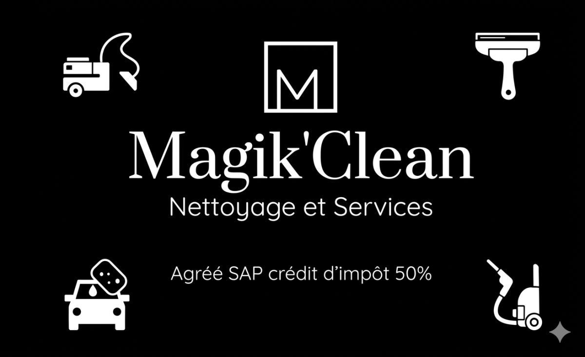 nettoyage professionnel 